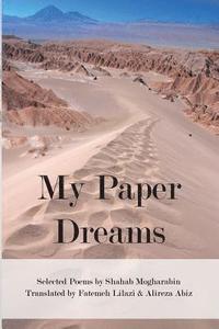bokomslag My Paper Dreams