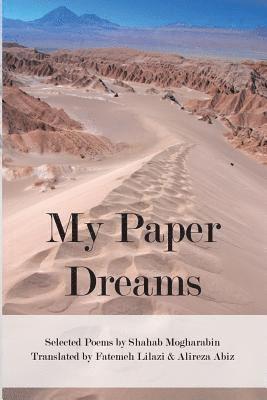 My Paper Dreams 1