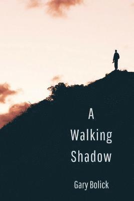 bokomslag Walking Shadow