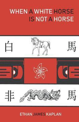 Ethan James Kaplan - When a White Horse Is Not a Horse, Häftad