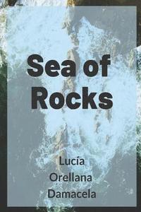 bokomslag Sea of Rocks