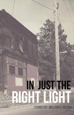 William R Soldan, William R. Soldan - In Just the Right Light, Häftad