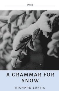 bokomslag Grammar for Snow