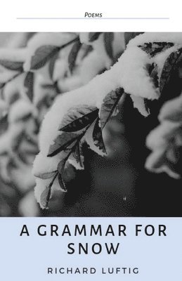 bokomslag Grammar for Snow