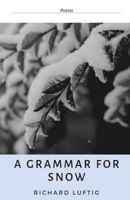 A Grammar for Snow 1