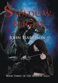 bokomslag Shadow Flight