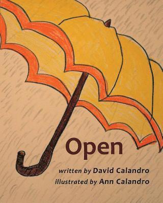 David Calandro - Open, Häftad. Tillgänglighet: Lägg i varukorg