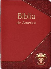 bokomslag Biblia de America