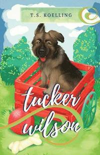 bokomslag Tucker Wilson