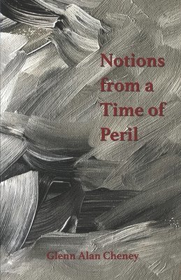 bokomslag Notions from a Time of Peril