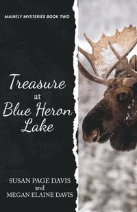 bokomslag Treasure at Blue Heron Lake