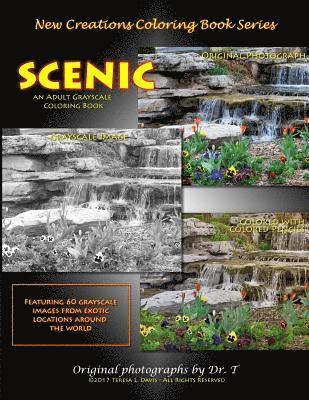 New Creations Coloring Book Series: Scenic