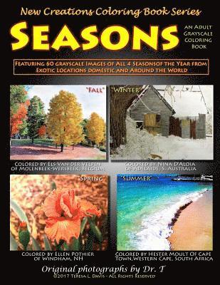 bokomslag New Creations Coloring Book Series: Seasons