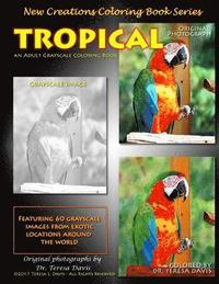 bokomslag New Creations Coloring Book Series: Tropical
