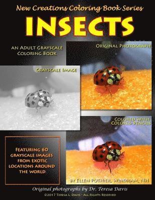 Brad Davis, Teresa Davis - New Creations Coloring Book Series: Insects, Häftad