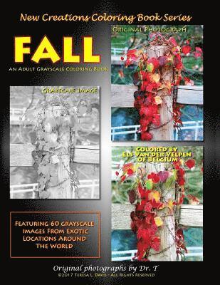 Brad Davis - New Creations Coloring Book Series: Fall, Häftad