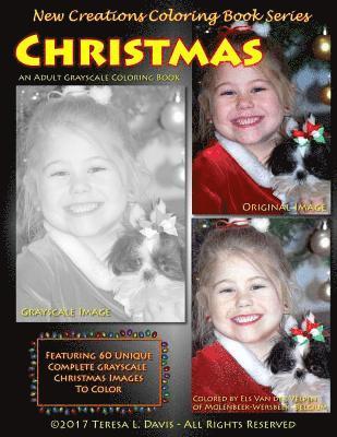 Brad Davis, Teresa Davis - New Creations Coloring Book Series: Christmas, Häftad