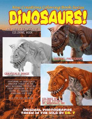 bokomslag New Creations Coloring Book Series