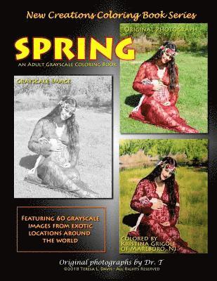 Brad Davis - New Creations Coloring Book Series: Spring, Häftad