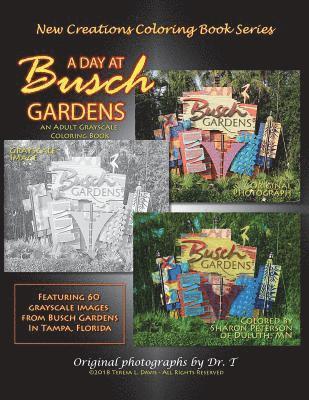 New Creations Coloring Book Series: A Day At Busch Gardens 1