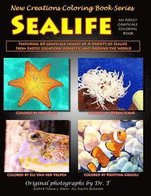 New Creations Coloring Book Series: Sealife 1