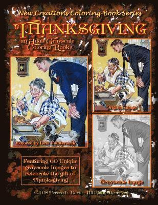 Brad Davis, Teresa Davis - New Creations Coloring Book Series: Thanksgiving, Häftad