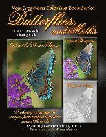 New Creations Coloring Book Series: Butterflies and Moths