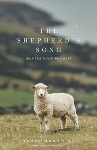 bokomslag Shepherd's Song