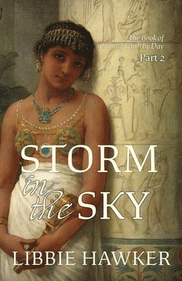 Libbie Hawker - Storm in the Sky, Häftad