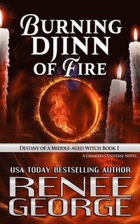 bokomslag Burning Djinn of Fire