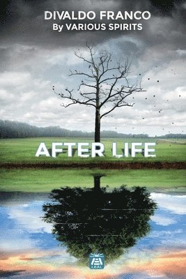 Divaldo Pereira Franco - After Life, Häftad