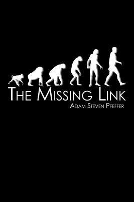 bokomslag Missing Link