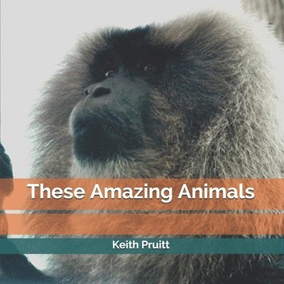 These Amazing Animals 1