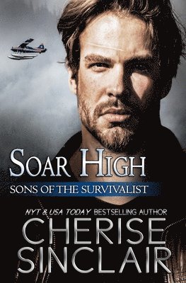 bokomslag Soar High