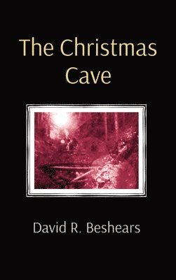 bokomslag Christmas Cave