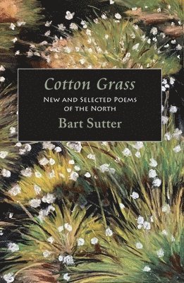 Cotton Grass 1