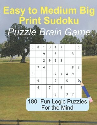 Easy to Medium Big Print Sudoku Puzzle Brain Game 1