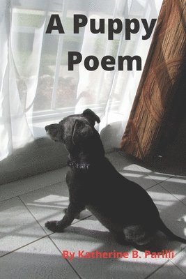 A Puppy Poem 1