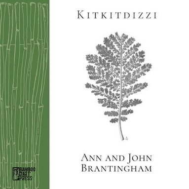 John Brantingham - Kitkitdizzi, Häftad