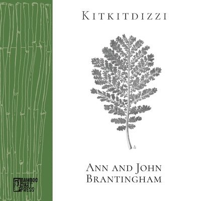 John Brantingham - Kitkitdizzi, Häftad