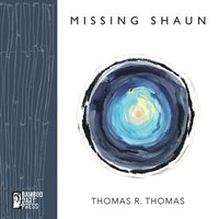 bokomslag Missing Shaun
