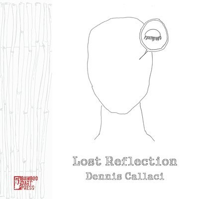 Dennis Callaci - Lost Reflection, Häftad