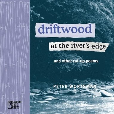 bokomslag Driftwood at the River's Edge