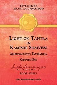 bokomslag Light on Tantra in Kashmir Shaivism