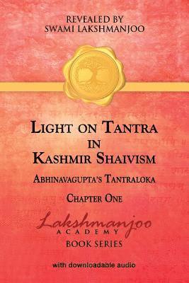 bokomslag Light on Tantra in Kashmir Shaivism