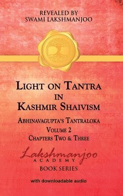 bokomslag Light on Tantra in Kashmir Shaivism - Volume 2