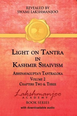 bokomslag Light on Tantra in Kashmir Shaivism - Volume 2