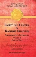 bokomslag Light on Tantra in Kashmir Shaivism - Volume 3