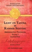 Viresh Hughes - Light on Tantra in Kashmir Shaivism - Volume 3, Inbunden