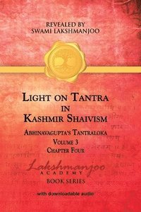 bokomslag Light on Tantra in Kashmir Shaivism - Volume 3